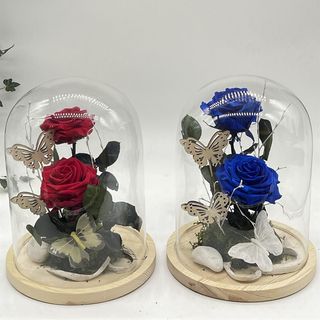 CÚPULA BELLEZA ETERNA