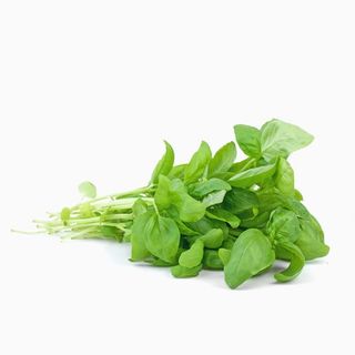 Albahaca Fresca (50g)