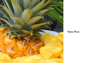 Ananas fresco