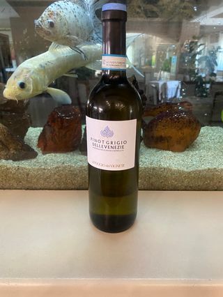 Pinot grigio delle Venezie DOC POGGIO DEI VIGNETI 12% vol 75 cl