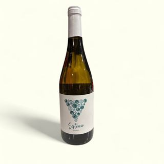 BOTELLA VINO BLANCO VIÑA ABAD (GODELLO)