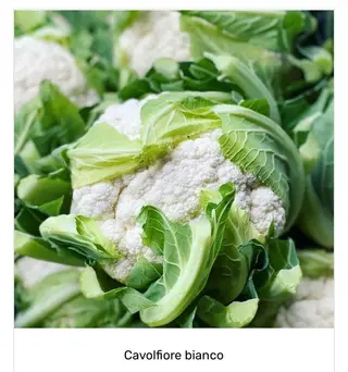 Cavolfiore bianco Italia -1 pezzo 1 kg. ca.