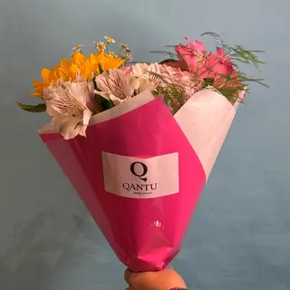 Ramo Qantu