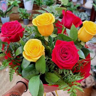 Rosas Rojas y Amarillas "Plaza de la Constitución"