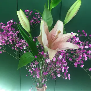 Lilium Rosa Unidad