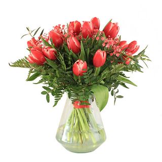 ALBA. Ramo de tulipanes.