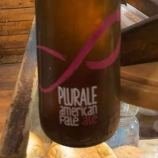Birrificio plurale APA 