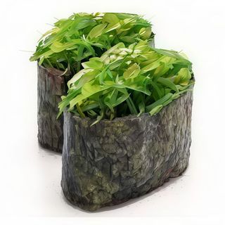 Gunkan Wakame (2 Pzs.)