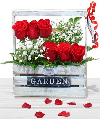 JARDÍN DE ROSAS 3000230