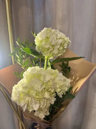 Ramillete Hortensias