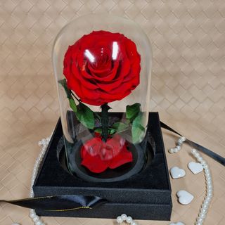 Stakleno zvono sa crvenom FOREVER XXL ružom