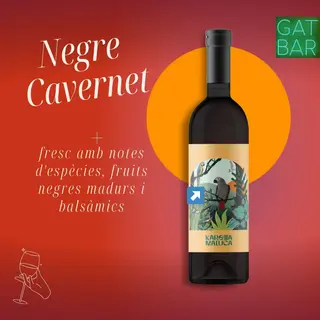 Vi Negre Cavernet Ampolla (Monastrell, Tempranillo y Cabernet Sauvignon)