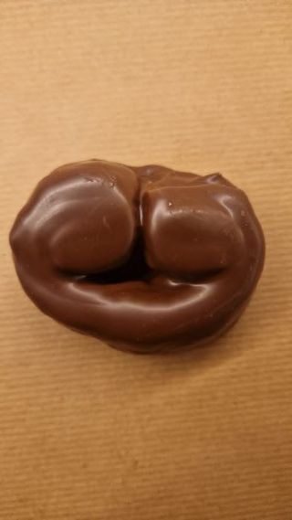 Palmera Jugosita 1 Ud.