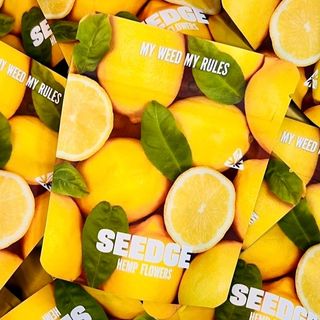 2G Super Lemon Haze CBD Flower