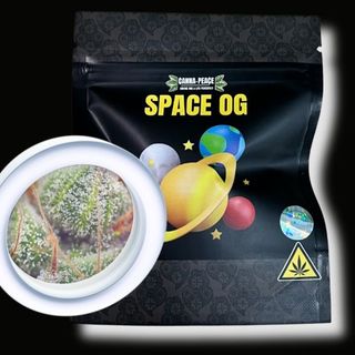 Flor Space OG CBD