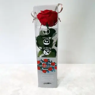 Rosa Roja Preservada Corta