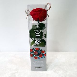 Rosa Roja Preservada Corta