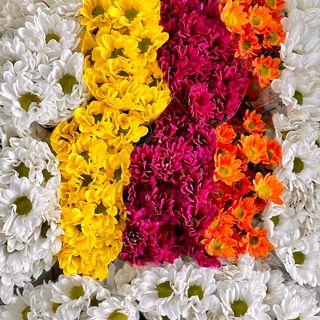 Buchet Express 5 Crizantheme