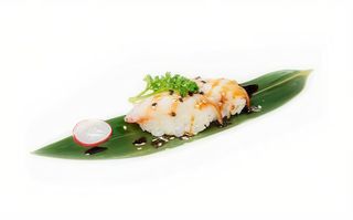 242 Suzuki burn - 2 pezzi