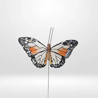 Mariposa