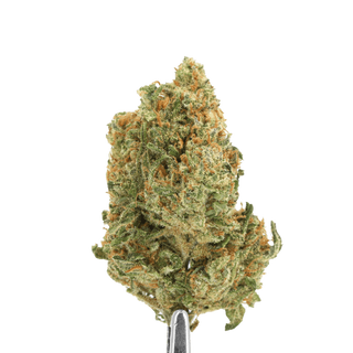 Weed'us Flor de CBD 3g