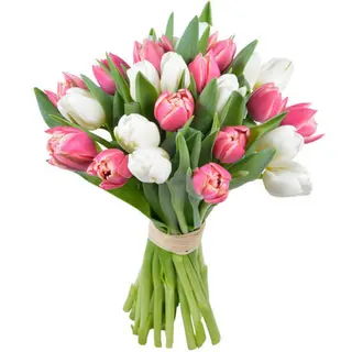 Ramo Tulipanes