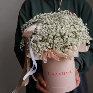 Бокс з гіпсофілою