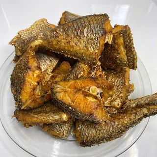 Croaker Fish