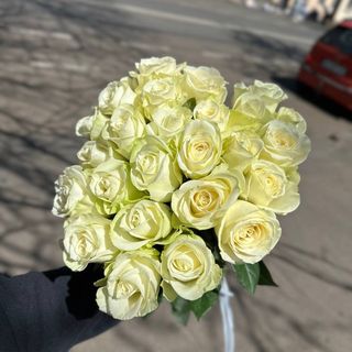 25 біла троянда