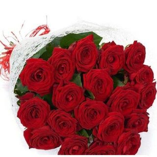 18 roses rouges love 