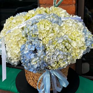 Білі та блакитні гортензії в корзині 