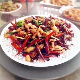 Pui de balta ganbian extrapicant