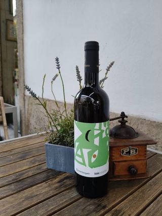 Falanghina Beneventano IGP . Terre Stregate - Campania