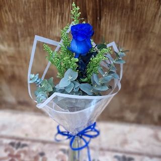 Rosa azul "Barriada La Paz"