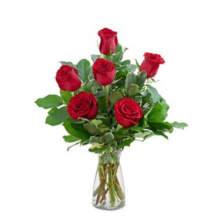 Media Docena Rosas Color Rojo