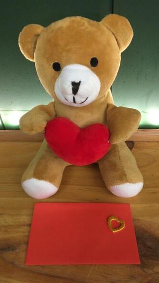 Oso Peluche Con Mensaje