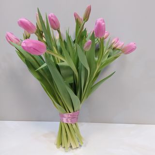 Tulipany różowe 25 szt