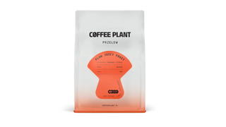 Kawa ziarnista FLOW Juicy Fruit Filter 250 g