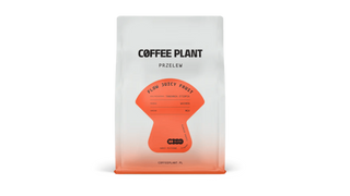 Kawa ziarnista FLOW Juicy Fruit Filter 250 g