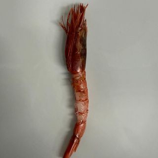 Gambero rosso grande 1 pezzo