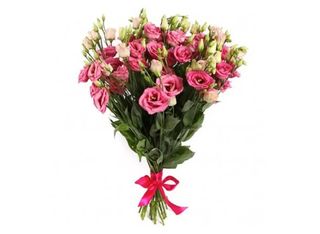 11 Еустоми, Розови | 1 piece