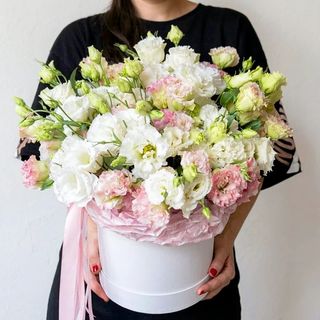 Eustome mix in cutie