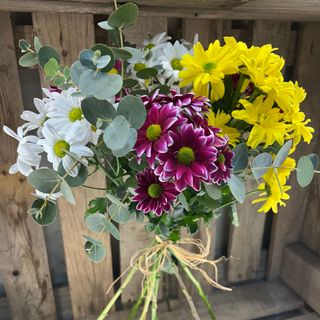 Ramo De Margaritas Multicolor