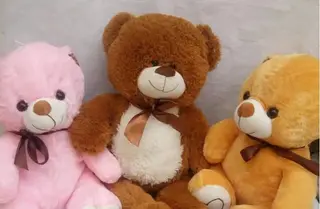 Teddy Bears - Small (30cm)