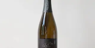 Blanc De Noirs Champagne Aoc Brut - 2014 - Rémi Leroy