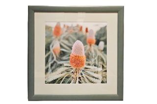 Guula Art- Outback banksia