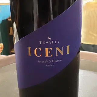 Vino Tinto iceni (75 cl.)