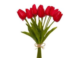 Червени Лалета 11 Бр