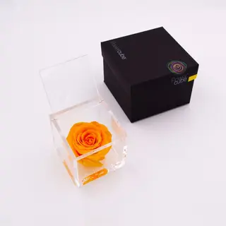 Rosa preservada Flowercube 8x8 Color Amarillo
