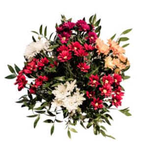 Composizione fiori recisi